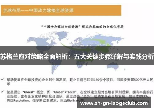 苏格兰应对策略全面解析：五大关键步骤详解与实践分析