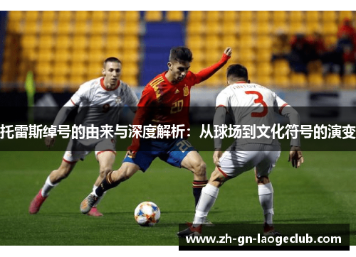 托雷斯绰号的由来与深度解析：从球场到文化符号的演变