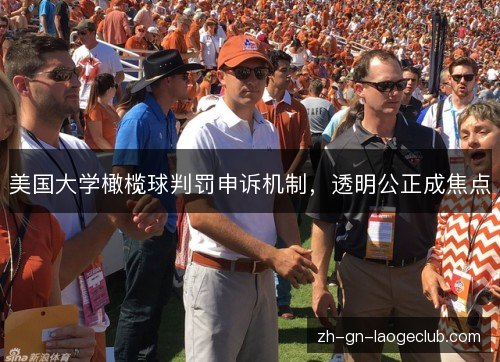 美国大学橄榄球判罚申诉机制，透明公正成焦点