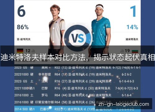 迪米特洛夫样本对比方法，揭示状态起伏真相